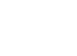 Velociraster Logo